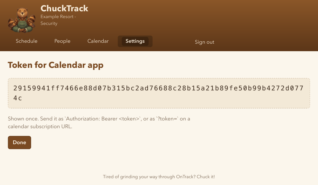 The one-time token reveal page after minting an API token